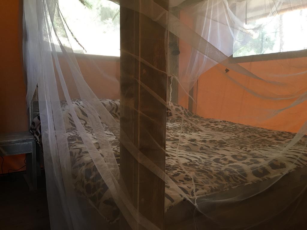Glamping Lodge Estartit L'Estartit Εξωτερικό φωτογραφία